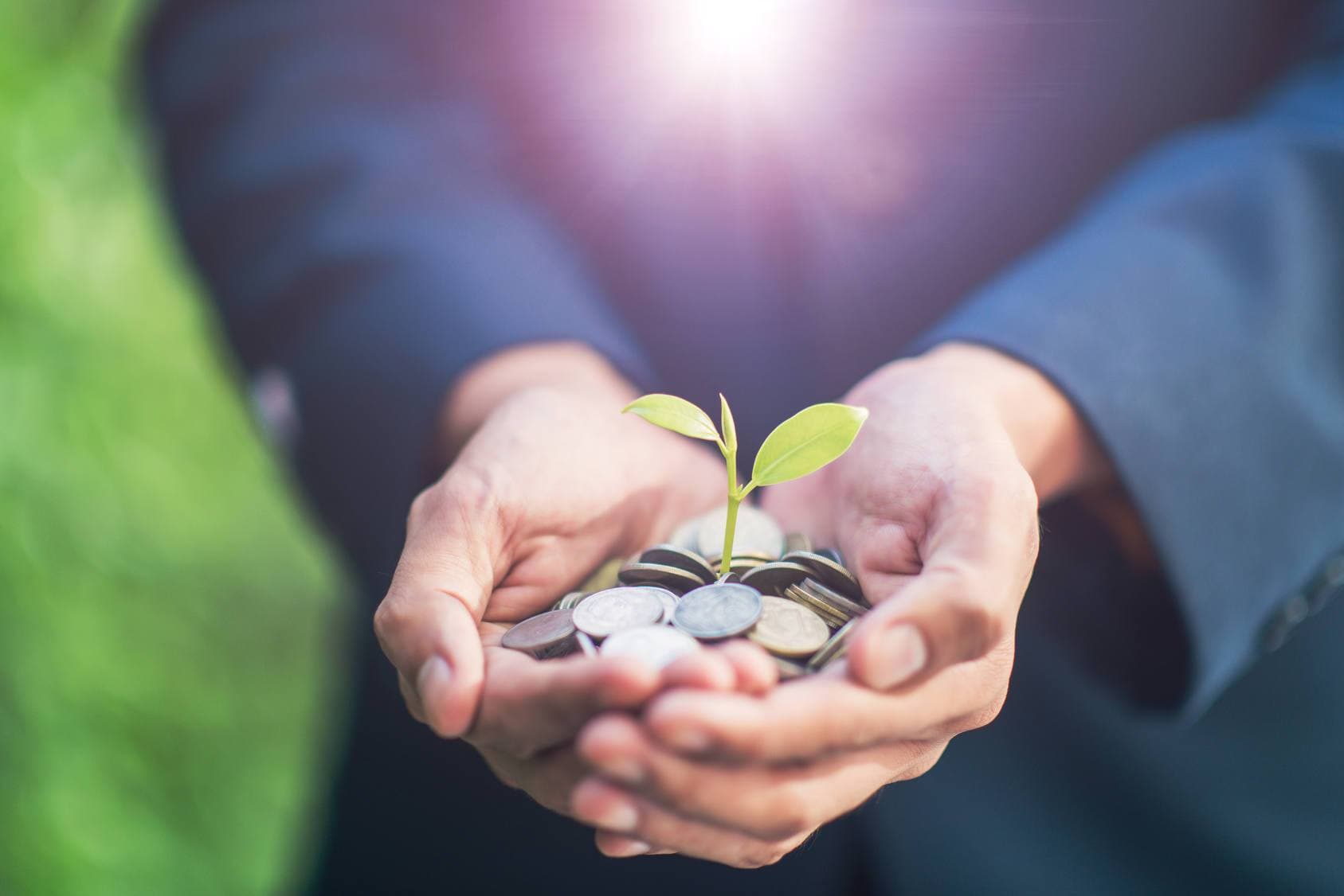 Imagen destacada: Lo que debes de saber para generar riqueza en tu empresa