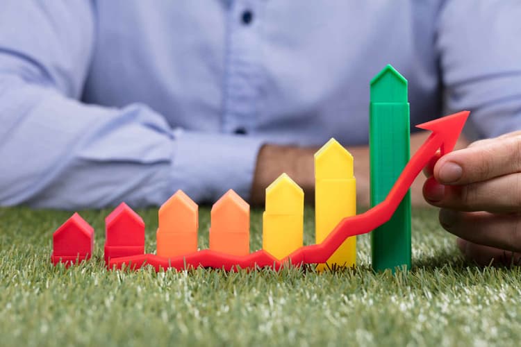 Factores que determinan la oferta y la demanda en el mercado