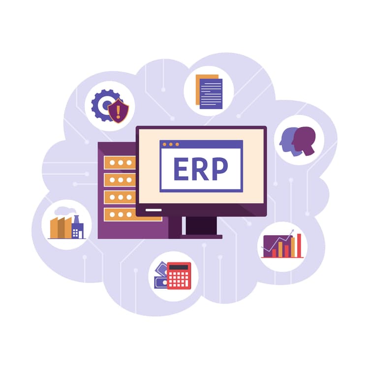 ERP vs Software Contable: ¿Cuál es la mejor opción para tu negocio?