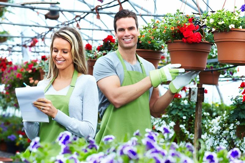 Imagen destacada: Una solución al problema de asociaciones civiles en México