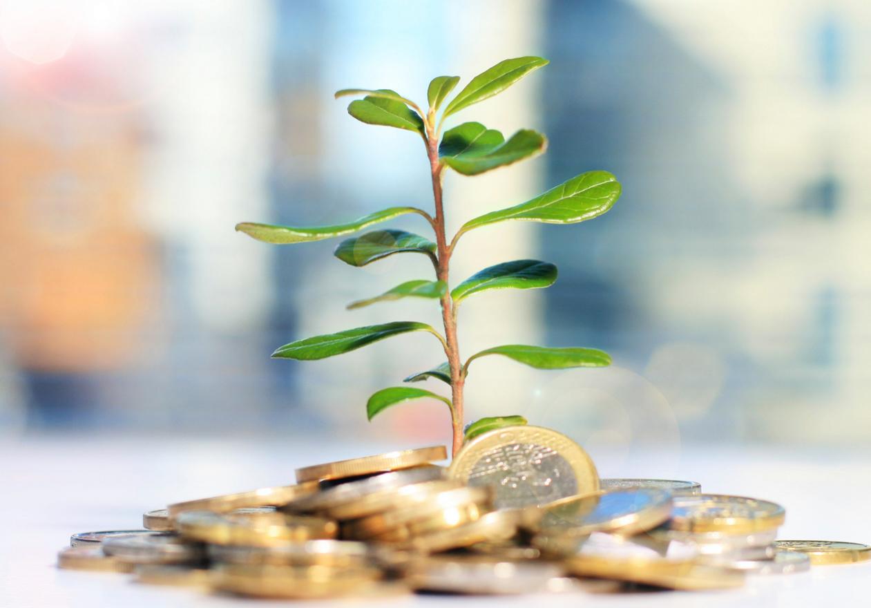 Imagen destacada: Invierte y haz crecer tu dinero