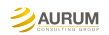 Logo de Aurum Consulting
